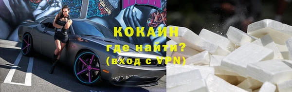 гашик Арсеньев