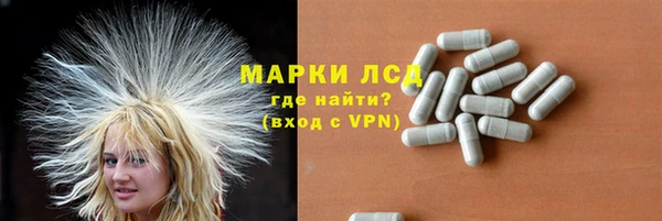 гашик Арсеньев