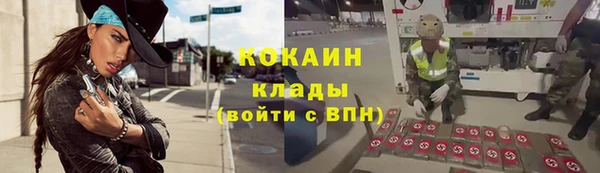 гашик Арсеньев