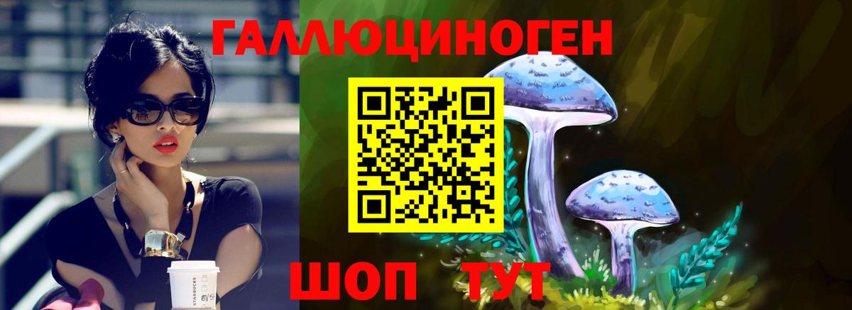 Псилоцибиновые грибы прущие грибы  Вход с VPN  Светлоград 