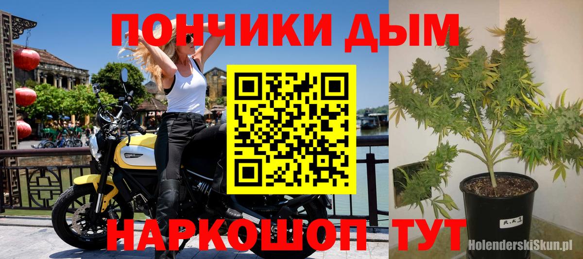 Светлоград  Каннабис сатива  Шишки марихуана OG Kush  Вход с VPN  Канабис AK-47  Конопля OG Kush 