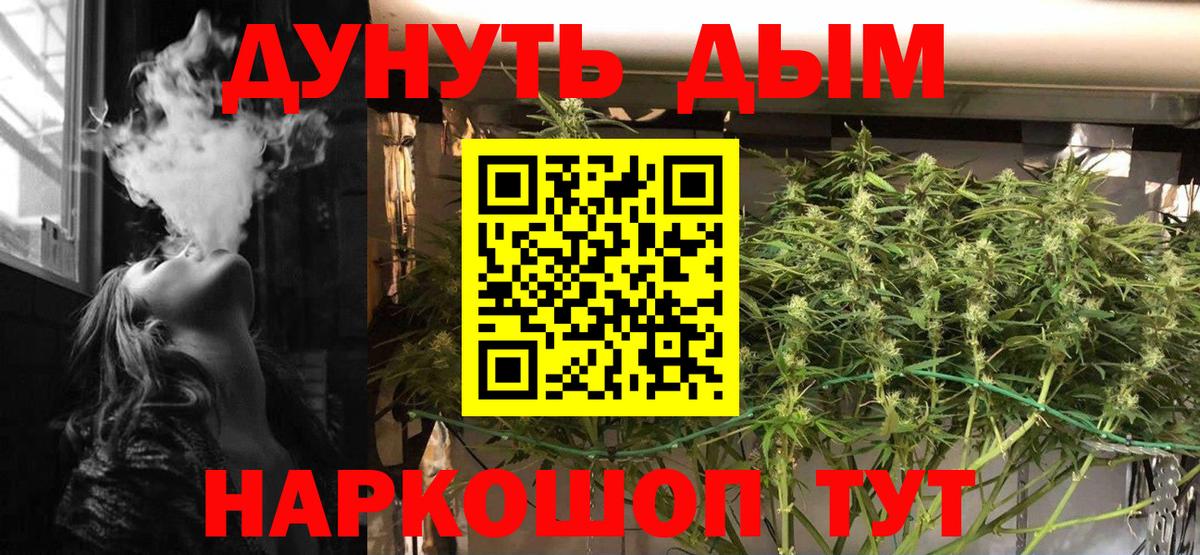 Бошки марихуана конопля Светлоград
